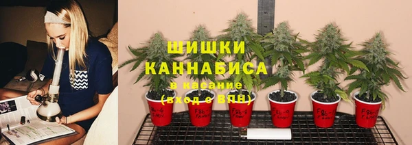 гашик Краснотурьинск