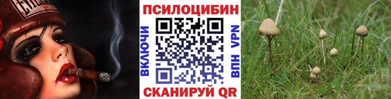 где найти Костомукша shop наркотические препараты Псилоцибиновые грибы Magic Shrooms