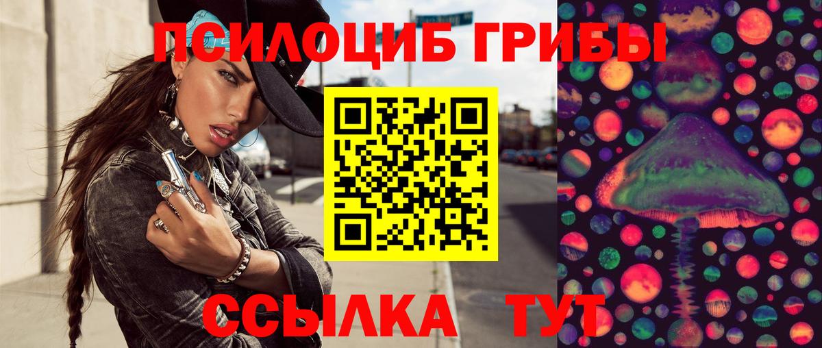 Псилоцибиновые грибы Cubensis  Галлюциногенные грибы мицелий  Вход с VPN  Костомукша 